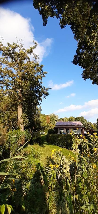 Bungalow Idylle Am See Neuruppin Exteriér fotografie