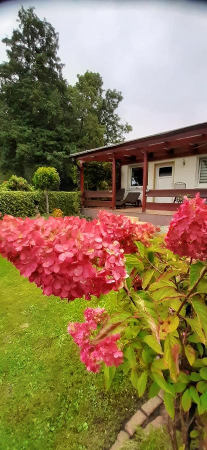 Bungalow Idylle Am See Neuruppin Exteriér fotografie