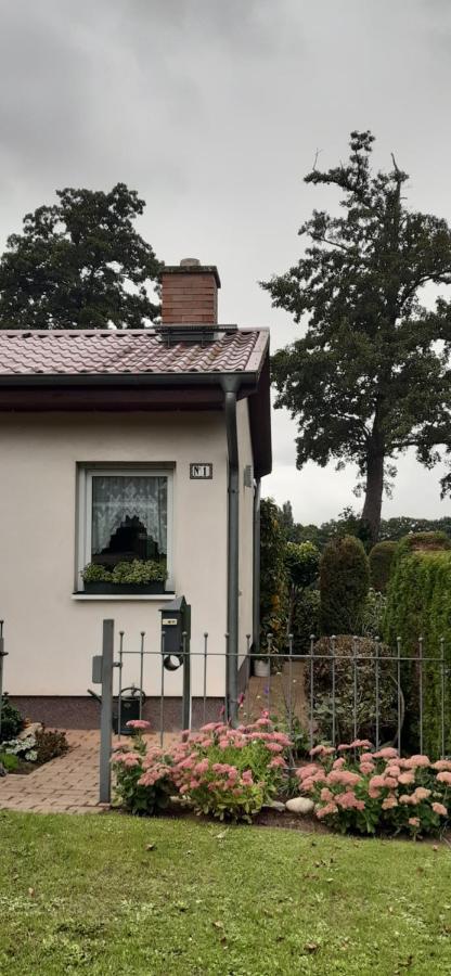 Bungalow Idylle Am See Neuruppin Exteriér fotografie